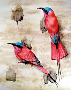 Southern Carmine Bee-eater 