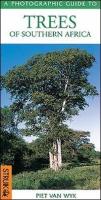 Southern African trees