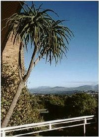 View of Table Mountain