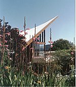 Watsonia,click for enlargements