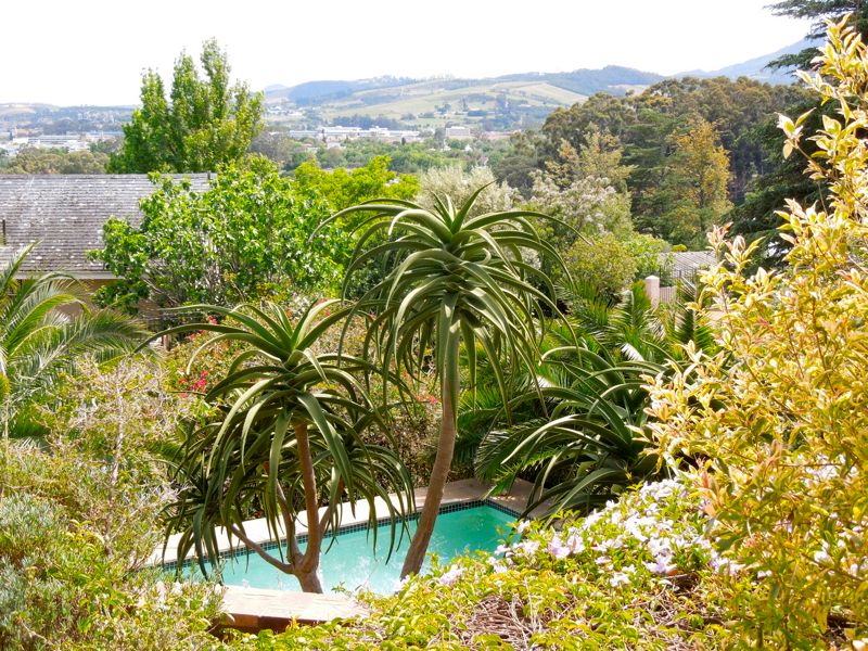 View from the front balcony