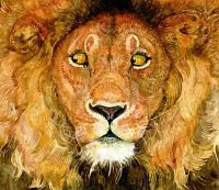 The Lion 