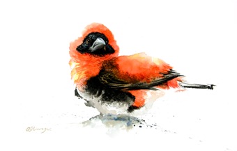 Red Bishop
