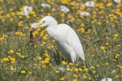 at Postberg