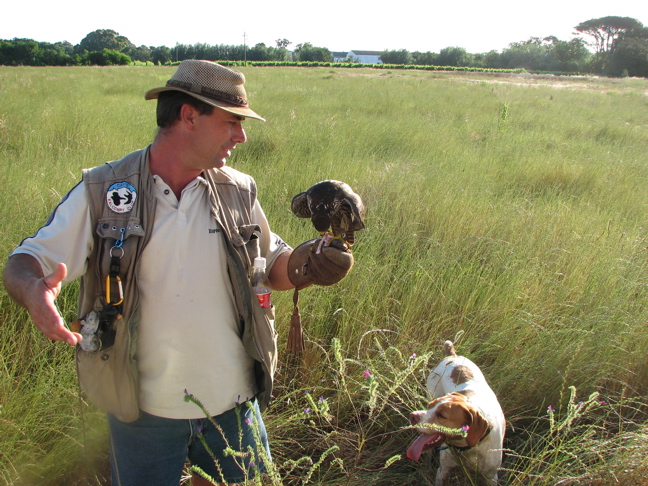 Hank with Falcon and Dog