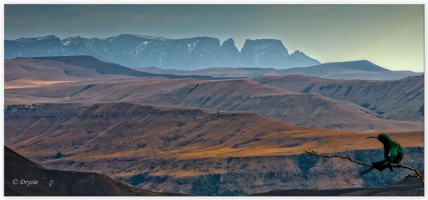 View from the Vulture hide at Giants Castle