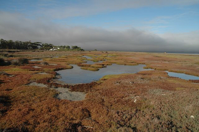 Geelbeck, West Coast National Park