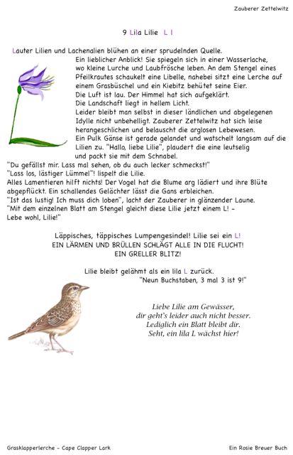 9 Lila Lilie