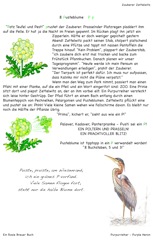 8 Pusteblume
