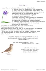 9 Lila Lilie