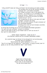 16 Vogel