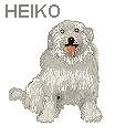 Haariger Heiko