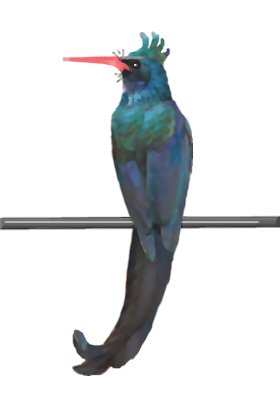Jojo Jodelbartvogel, anklicken für Animation