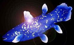 Coelacanth.jpg