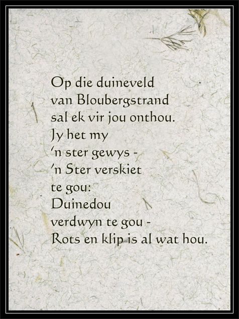 Duineveld