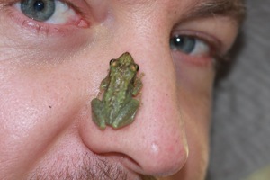 This tree frog hopped on his nose, when Flo tried to take a photograph