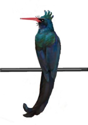 Jojo Jodelbartvogel, anklicken fr Animation