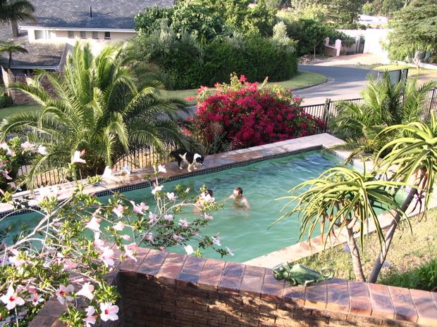 Pool, 10m x 4m
