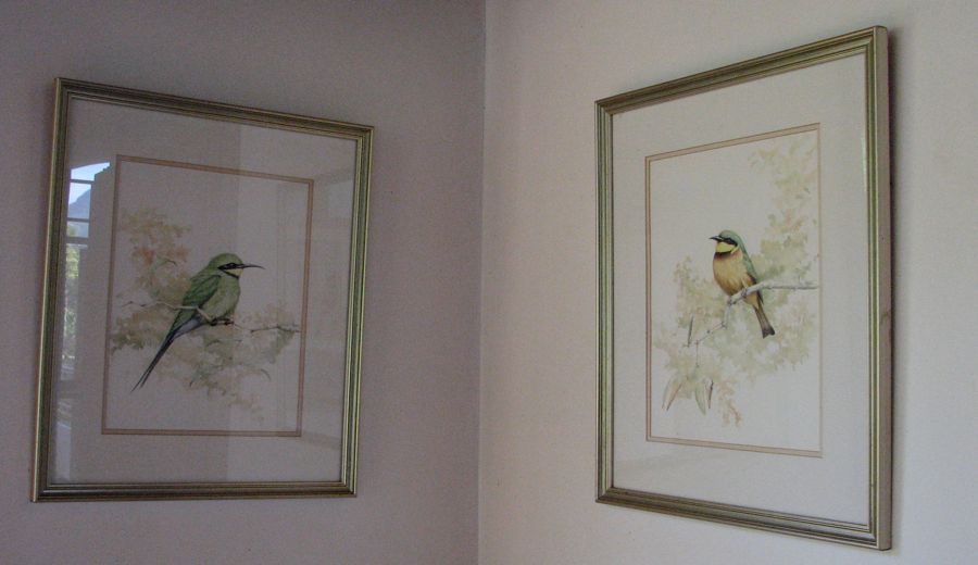 Swallow-tailed Bee-eater and Little Bee-eater