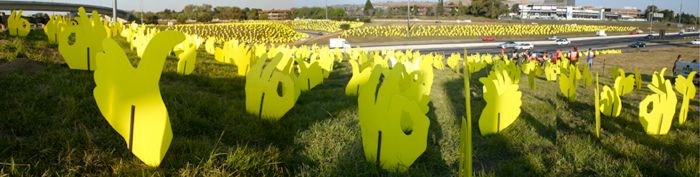 Field's of Flowering hands