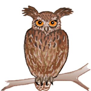 Udo Uhu, anklicken fr Animation