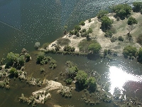 Wer entdeckt die Hippos? (an Land)