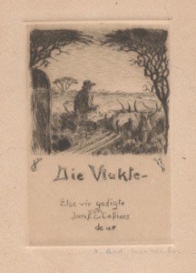 Die Vlakte